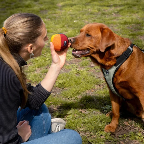 Redoggo Hundespielzeug Ball Bunt