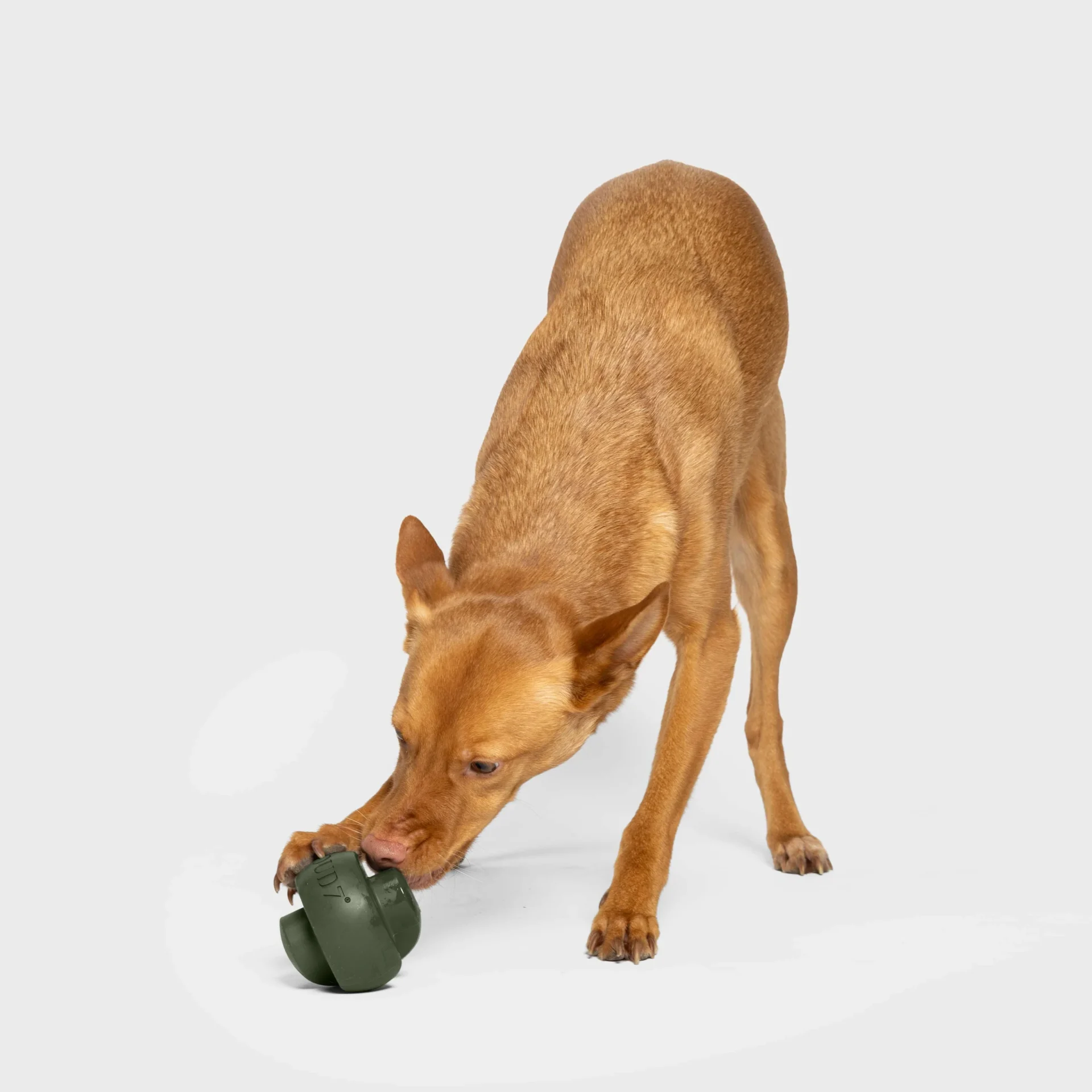 516473 C7 Treatdispensiontoy Olive