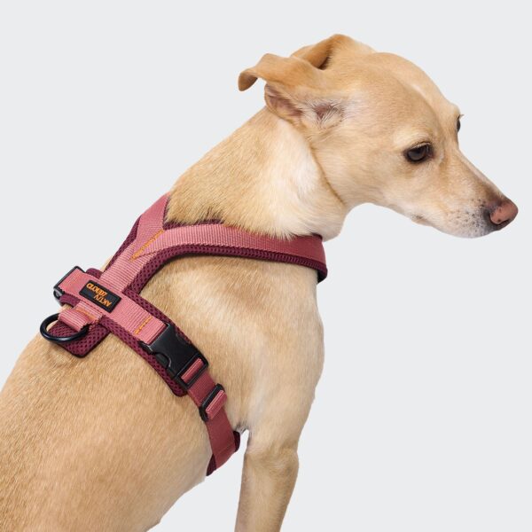 CLOUD7 Y-1 Geschirr AKTIV Air-Mesh Aubergine/Soft Rose