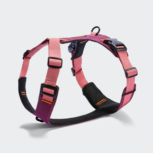 CLOUD7 Y-2 Geschirr AKTIV Aubergine/Soft Rose