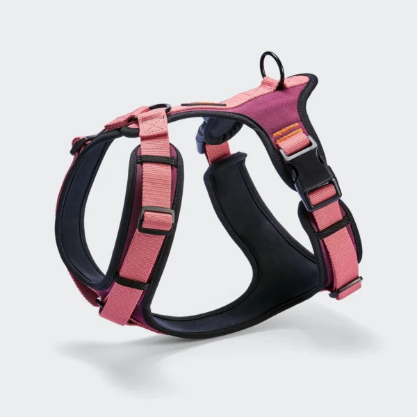 CLOUD7 Y-3 Geschirr AKTIV Softshell Aubergine/Soft Rose