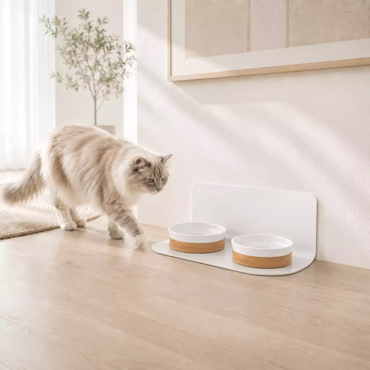 Elegantfeed In Terra Cat White Lifestyle (1)
