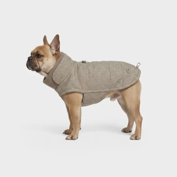 CLOUD7 Hundemantel Brooklyn Tweed Beige Französische Bulldogge