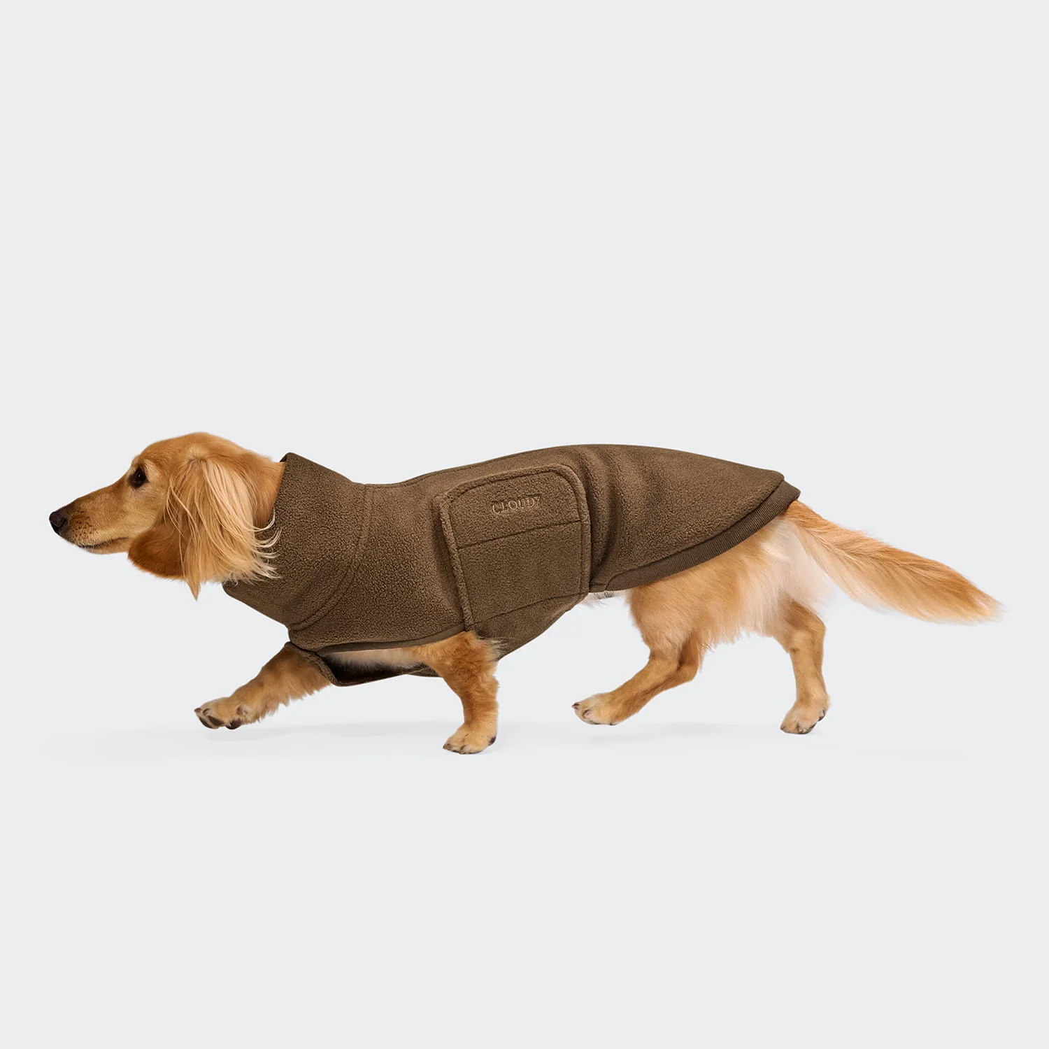 C7 Sweater Derby2.0 Coffee Dackel Fw26 Web Pdp5