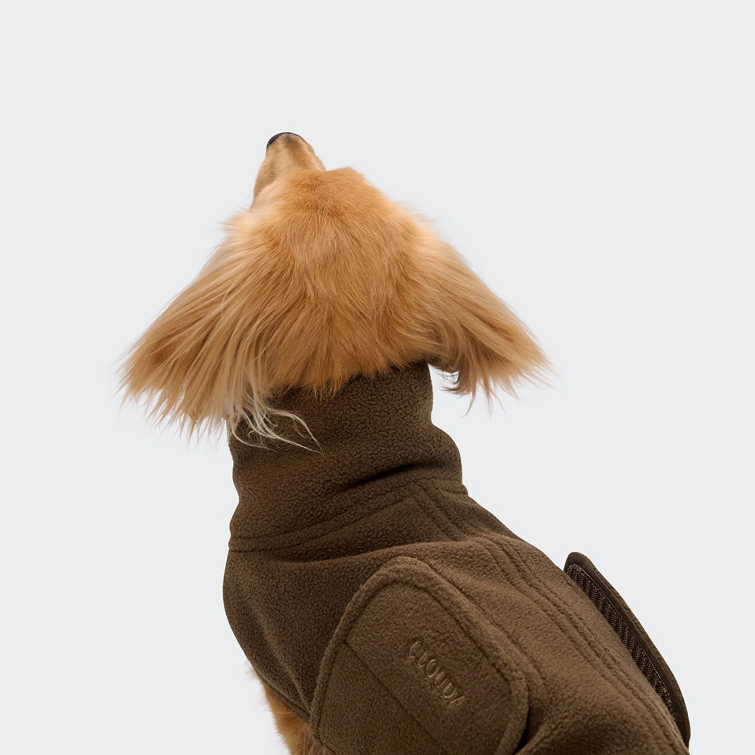 C7 Sweater Derby2.0 Coffee Dackel Fw26 Web Pdp6