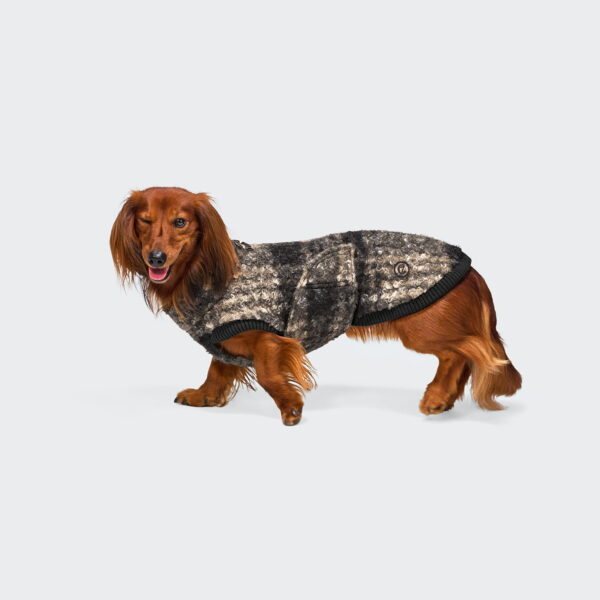 CLOUD7 Hundepullover Dackel Gotland Tartan
