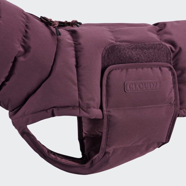 CLOUD7 Hundemantel Alaska Dackel Dark Aubergine