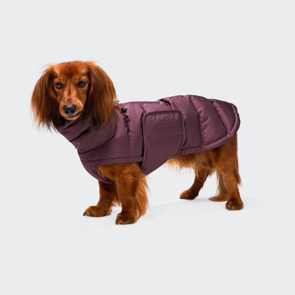 CLOUD7 Hundemantel Alaska Dackel Dark Aubergine