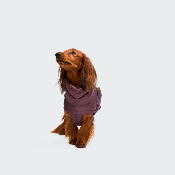 CLOUD7 Hundemantel Alaska Dackel Dark Aubergine