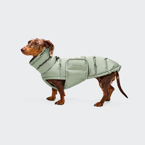 CLOUD7 Hundemantel Alaska Dackel Mint