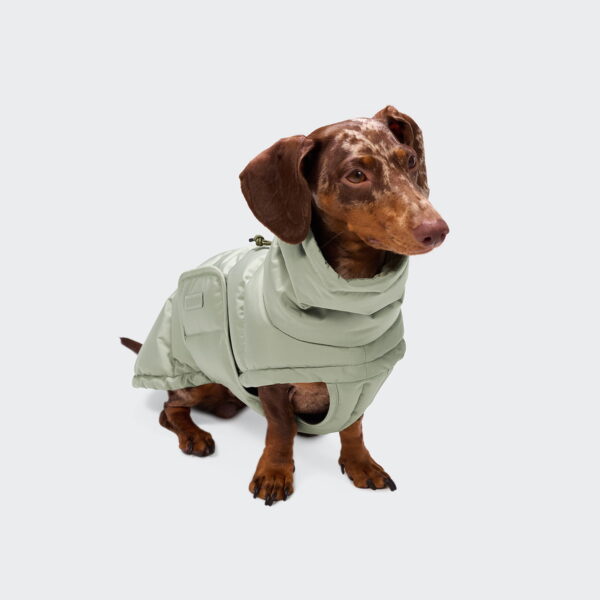 CLOUD7 Hundemantel Alaska Dackel Mint