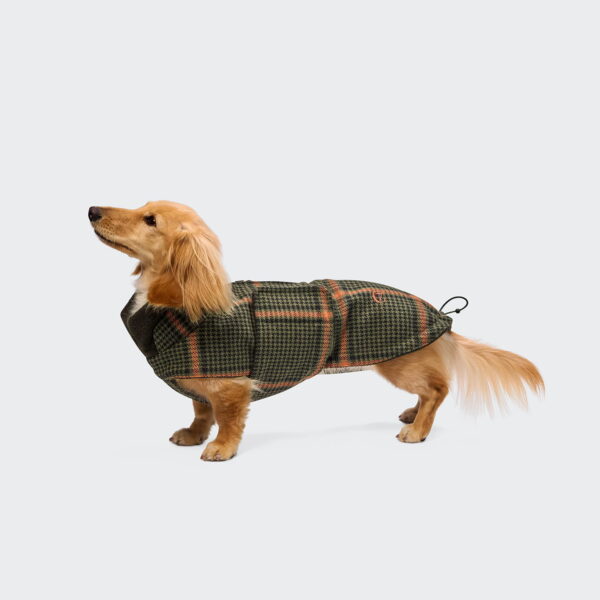 CLOUD7 Hundemantel DACKEL Brooklyn Flanell Fern Green