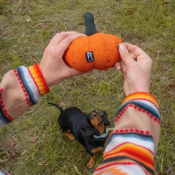 Redoggo Hundespielzeug Kürbis