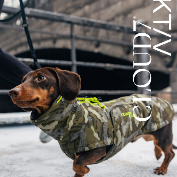 CLOUD7 Hundemantel Dackel Alaska AKTIV Camo