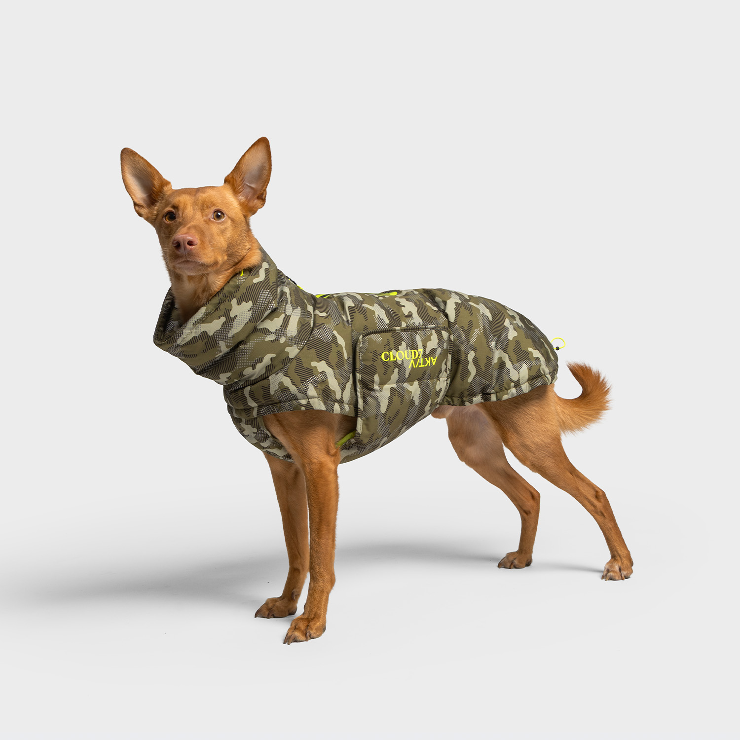 C7 Aktiv Alaska Camo Pdp1 Web (1)