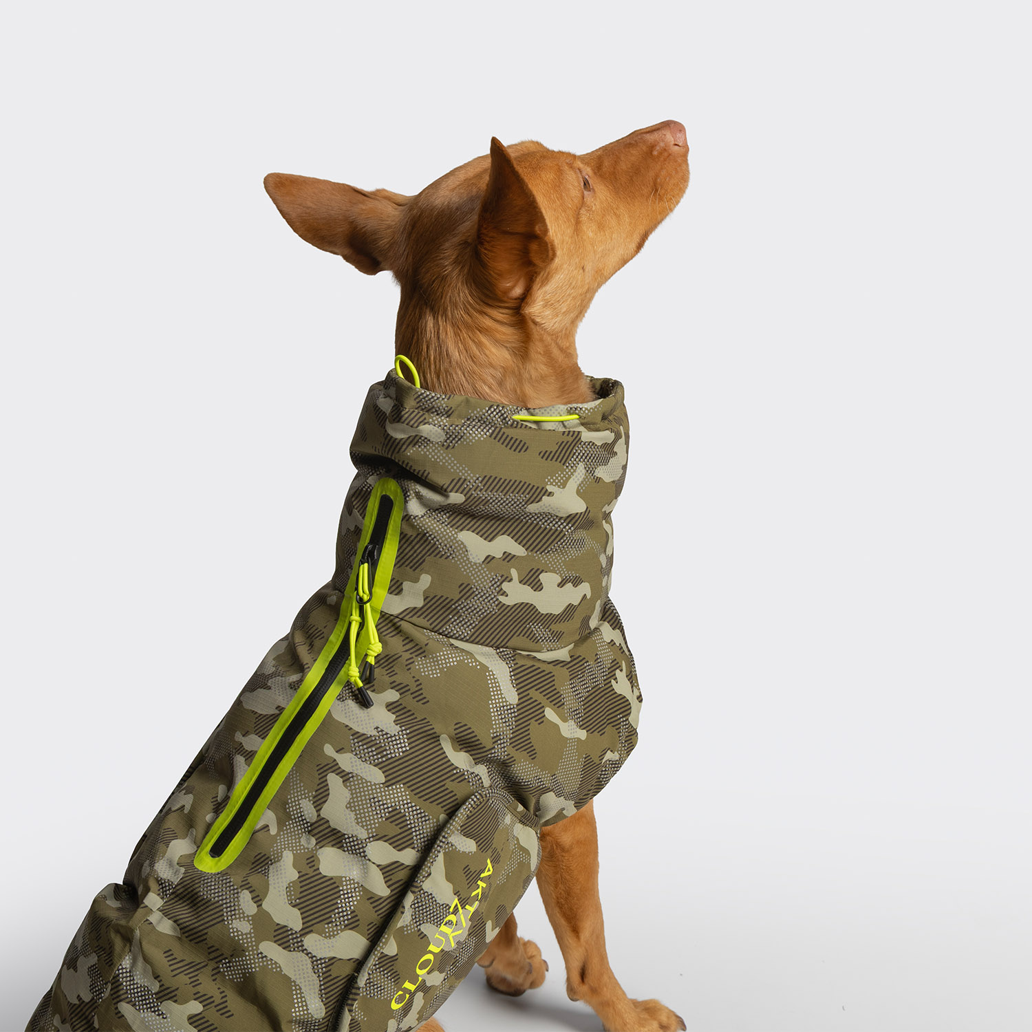 C7 Aktiv Alaska Camo Pdp2 Web
