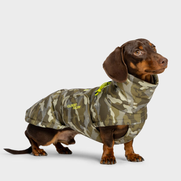 CLOUD7 Hundemantel Dackel Alaska AKTIV Camo