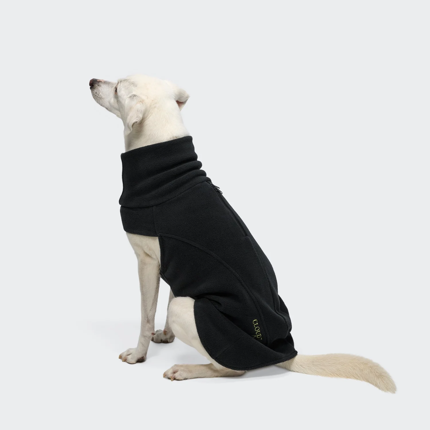 C7 Aktiv Bodywarmer Black 2026 Pdp04